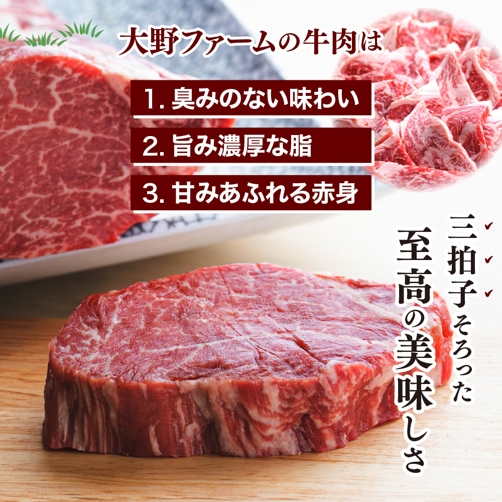 北海道十勝芽室町 カウ・カウビーフカレー 5個セット 未来とかち牛100％使用 me007-008c