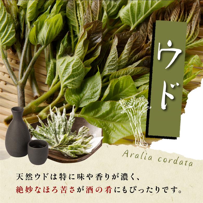 【先行受付】【2026年5月発送】北海道十勝芽室町 天ぷら用 ヨモギとウドの葉セット me011-006c