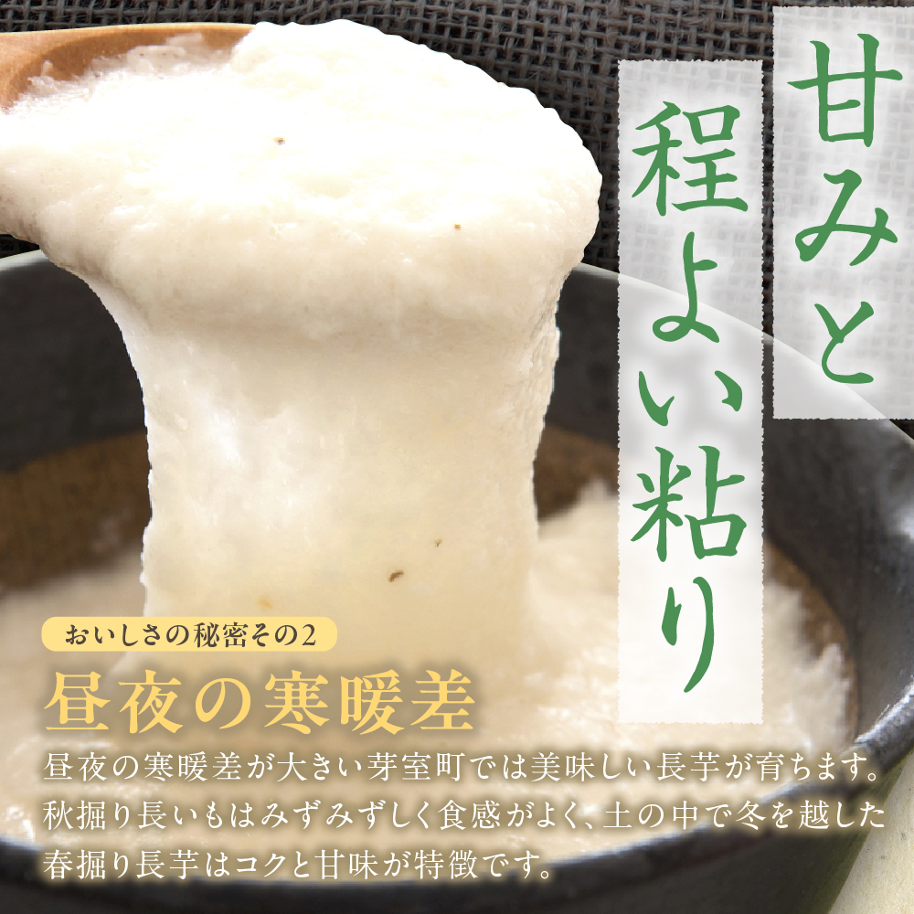 北海道十勝芽室町 ファーム・ミリオンの長芋【土付き】　10㎏ me016-013c