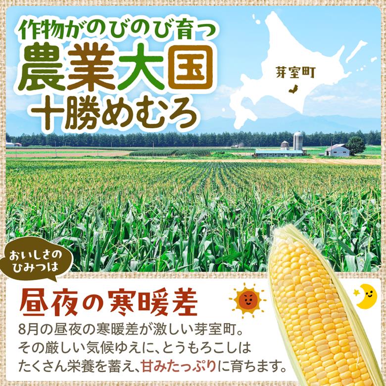 【先行受付】2026年産 北海道十勝芽室町ファーム・ミリオンの極甘スイートコーン 2色セット（イエロー・ホワイト）5kg　me016-018c