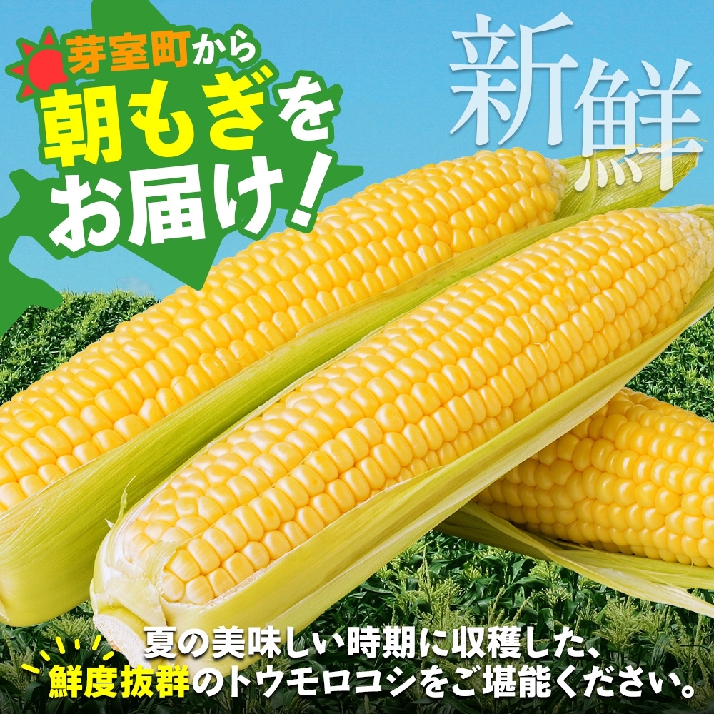 【2025年分先行予約】とうもろこし ゴールドラッシュ 50本 芽室町産 トウモロコシ コーン とうきび イエローコーン スイートコーン 野菜 新鮮 もぎたて 冷蔵 ギフト プレゼント お取り寄せ 送料無料 十勝 北海道 芽室町 【2025年8月発送】me035-029c-25