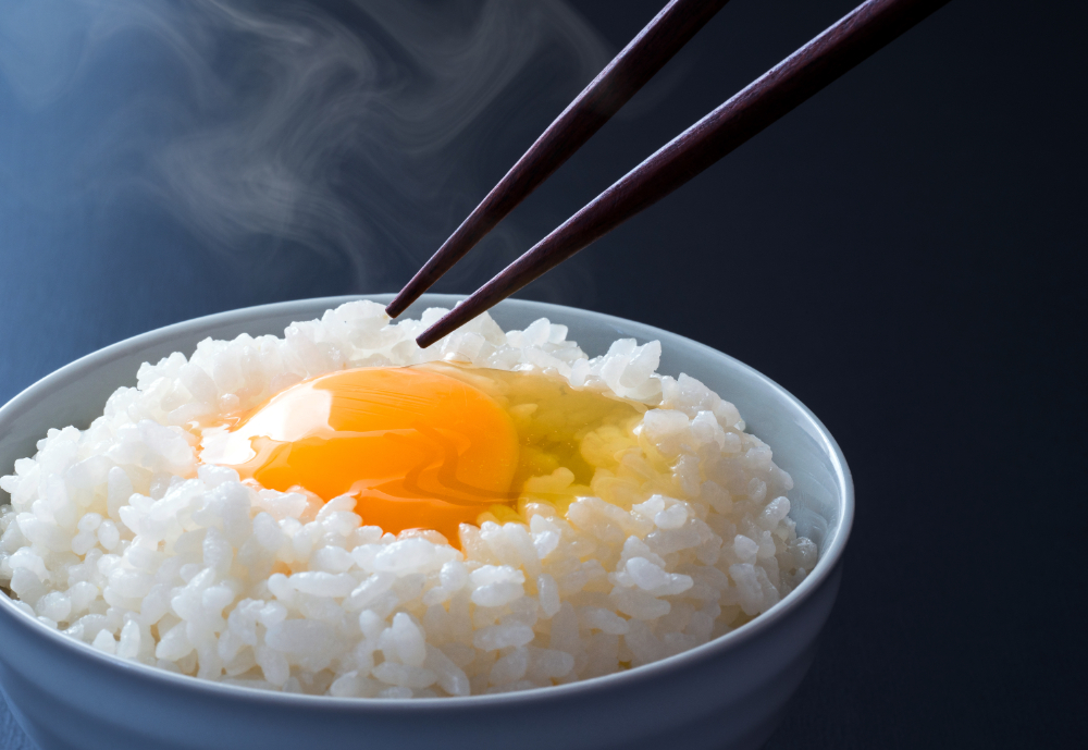 【2026年1月スタート 隔月4回定期便】北海道産米 ゆめぴりか5kg me047-005c-1k