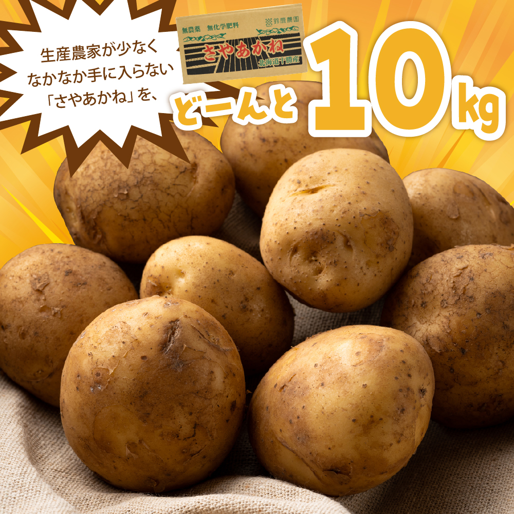 【先行予約】【2025年12月より配送】北海道十勝芽室町 さやあかね ２Lサイズ 10kg me049-005c-25