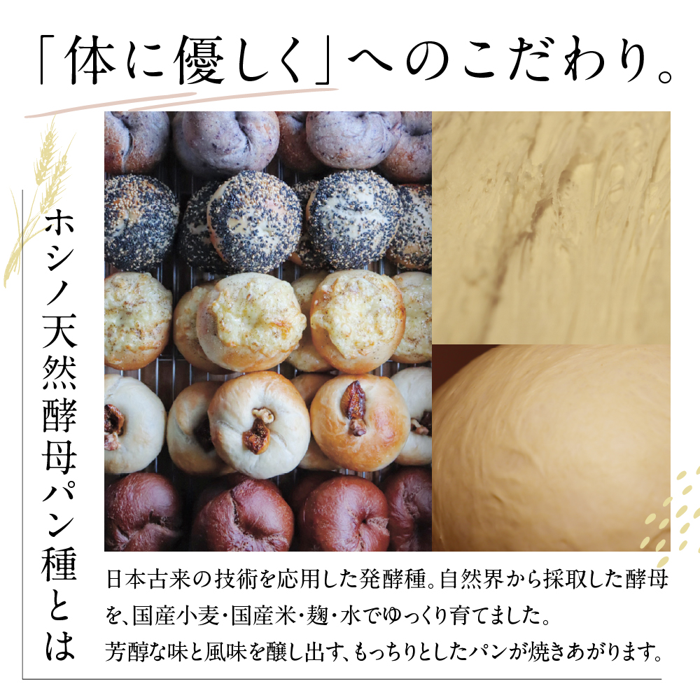 北海道十勝芽室町 ベーグルおまかせ10点セット me070-001c