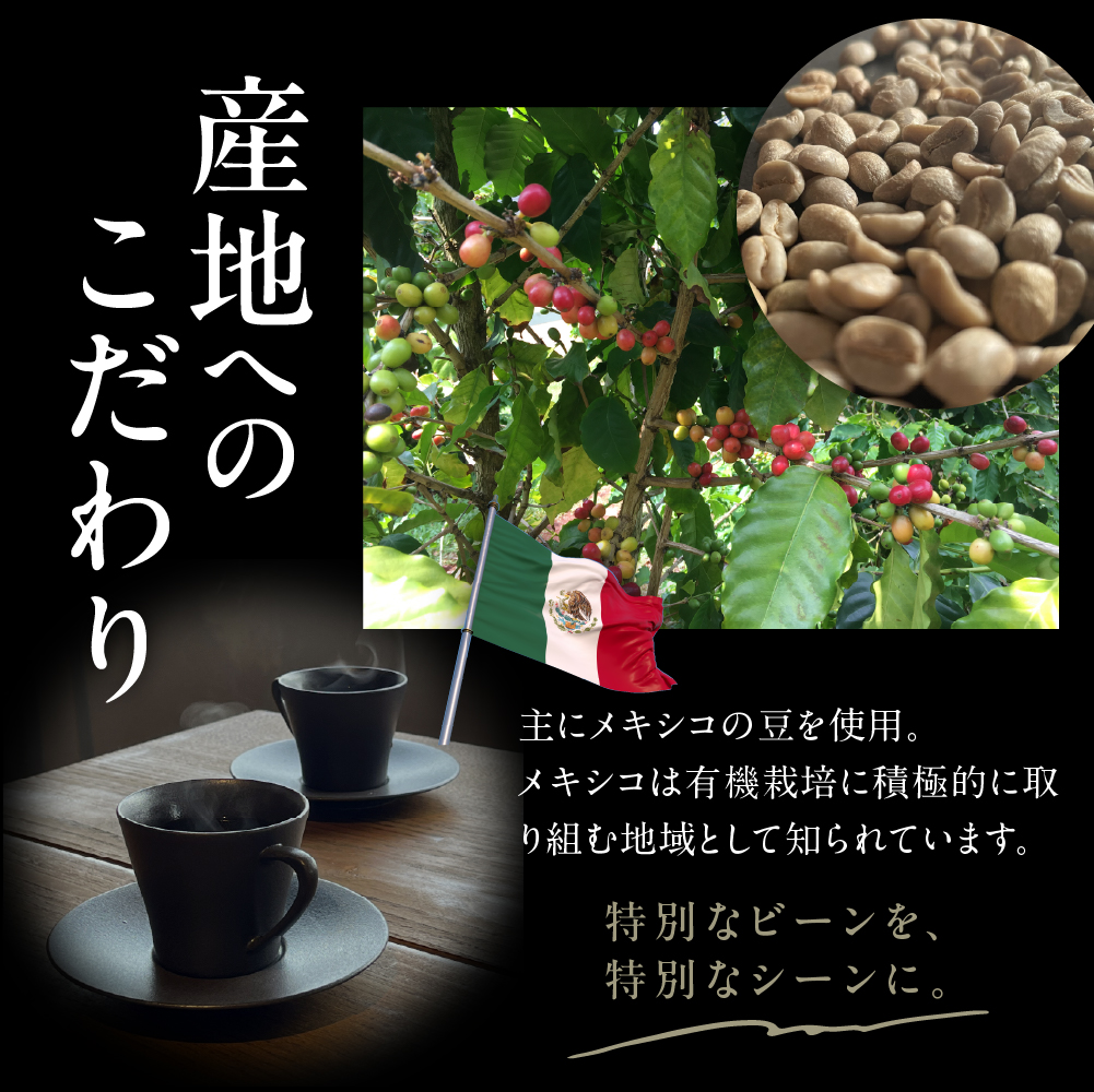 北海道十勝芽室町 珈琲豆10点セット me070-006c