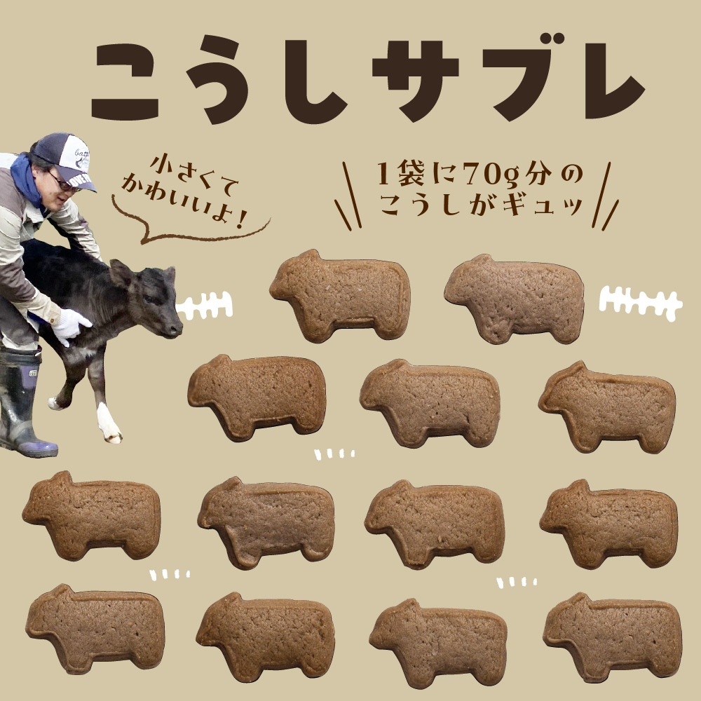 北海道十勝芽室町 みるここ＆こうしサブレ セット me079-004c