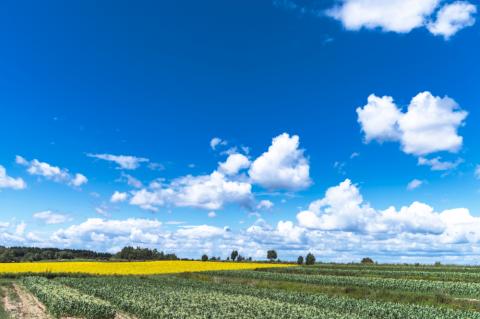 【2026年8月より発送】北海道十勝芽室町 なまら十勝野の季節のおまかせ野菜セット（夏） me001-009c