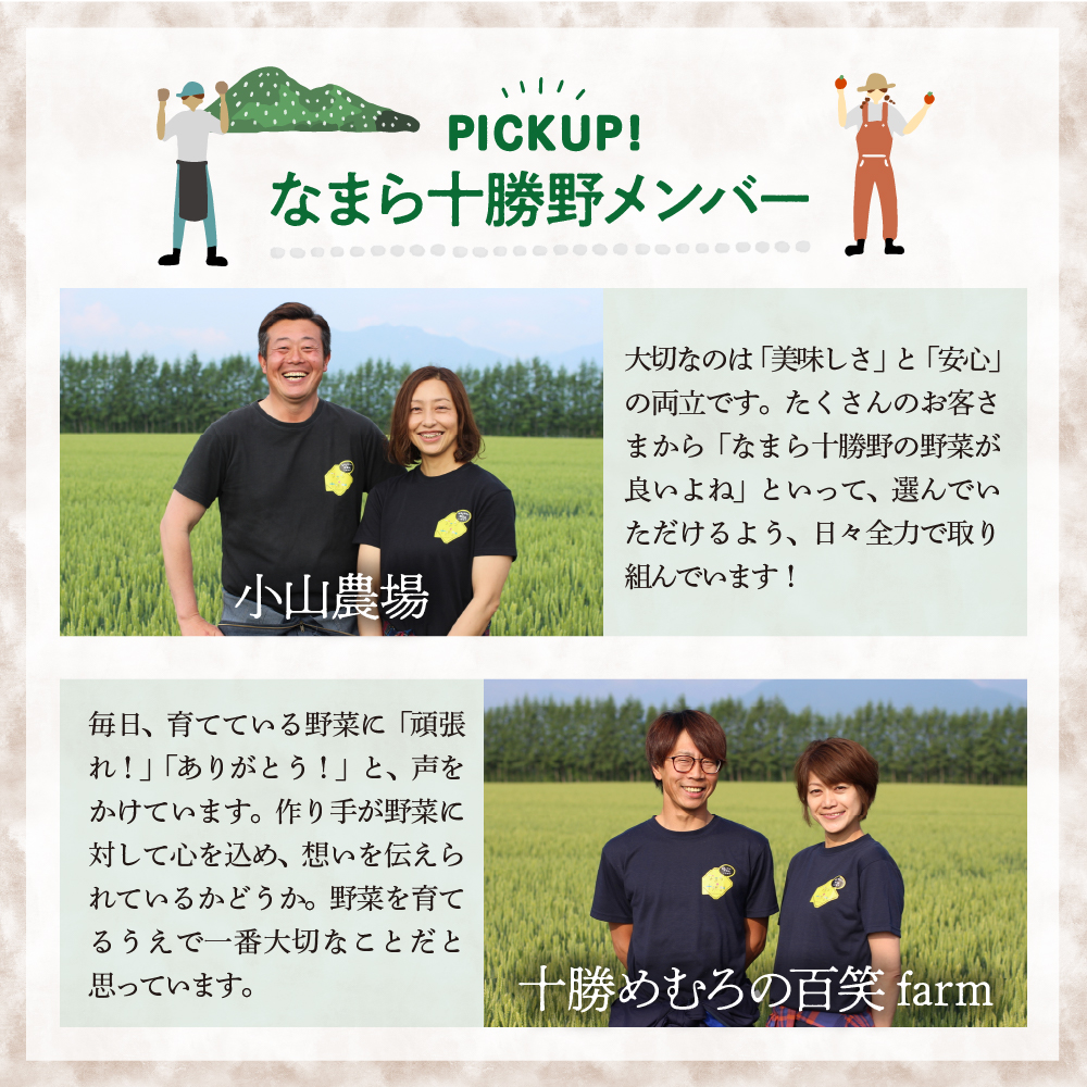 【2026年10月より配送】北海道十勝芽室町 なまら十勝野の季節のおまかせ野菜セット（秋） me001-004c