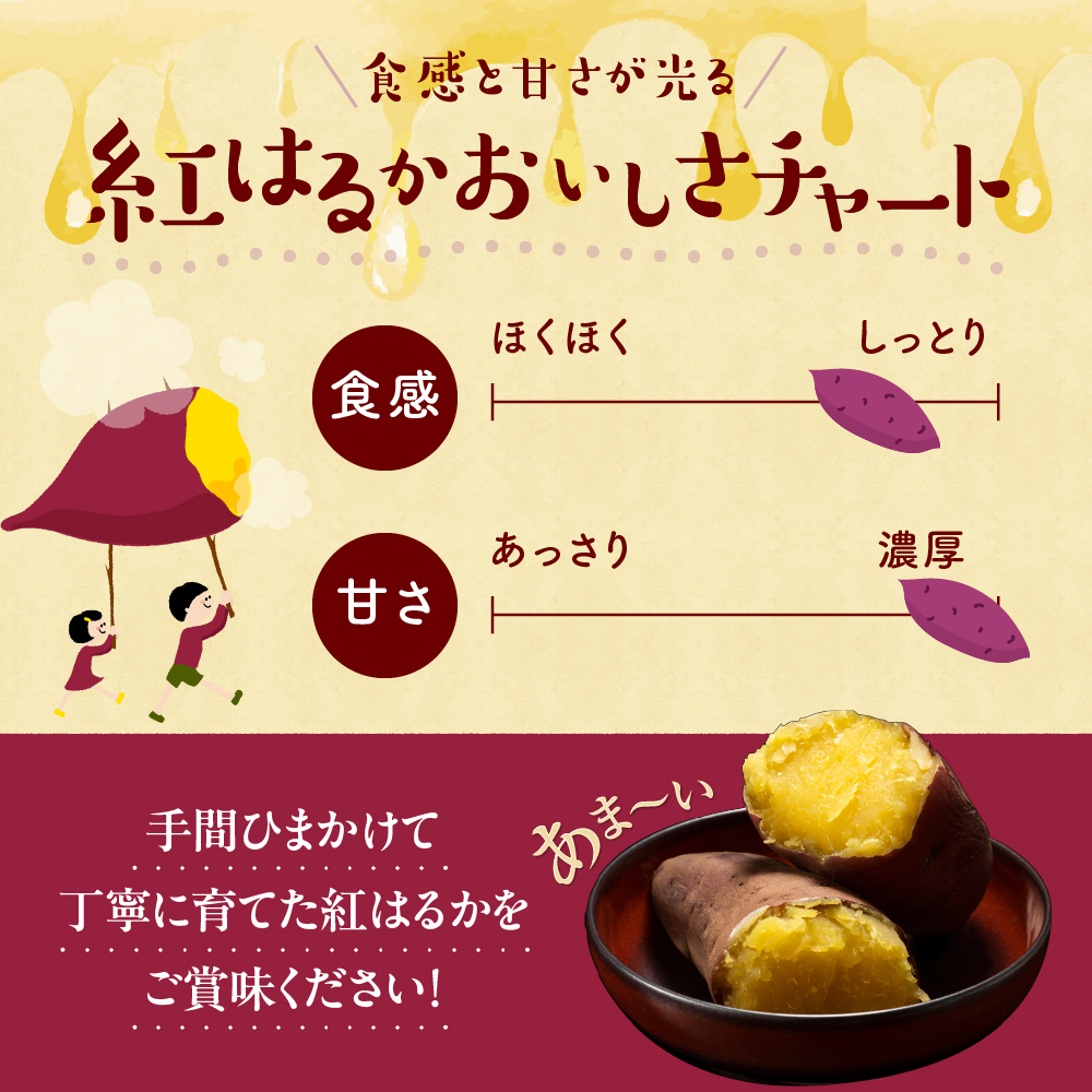 【12月以降発送】北海道十勝芽室町 なまら十勝野 芽室町産さつまいも【紅はるか】５㎏　me001-029c