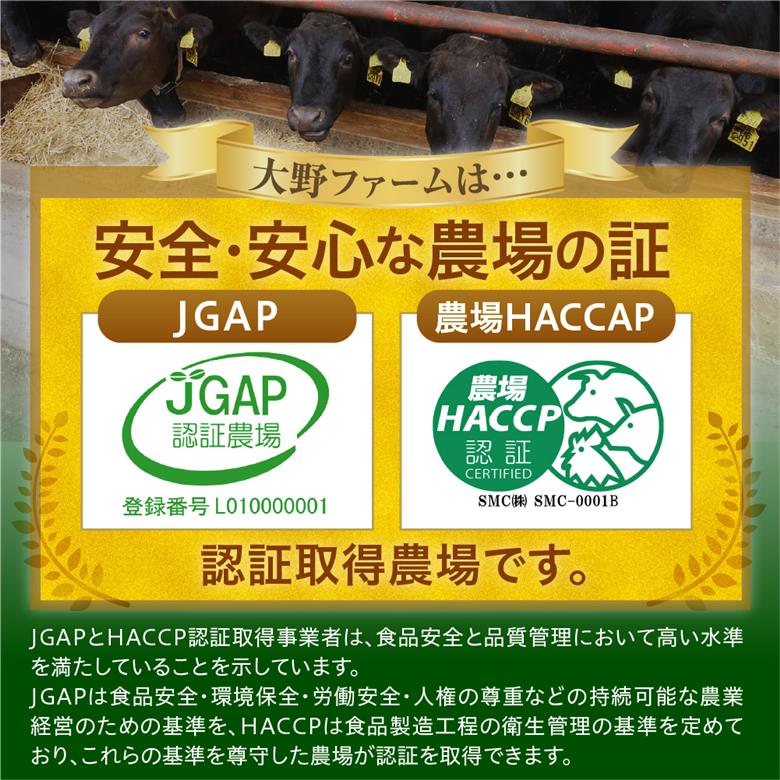 北海道十勝芽室町 カウ・カウビーフシチュー 3個セット 未来とかち牛100％使用 me007-007c