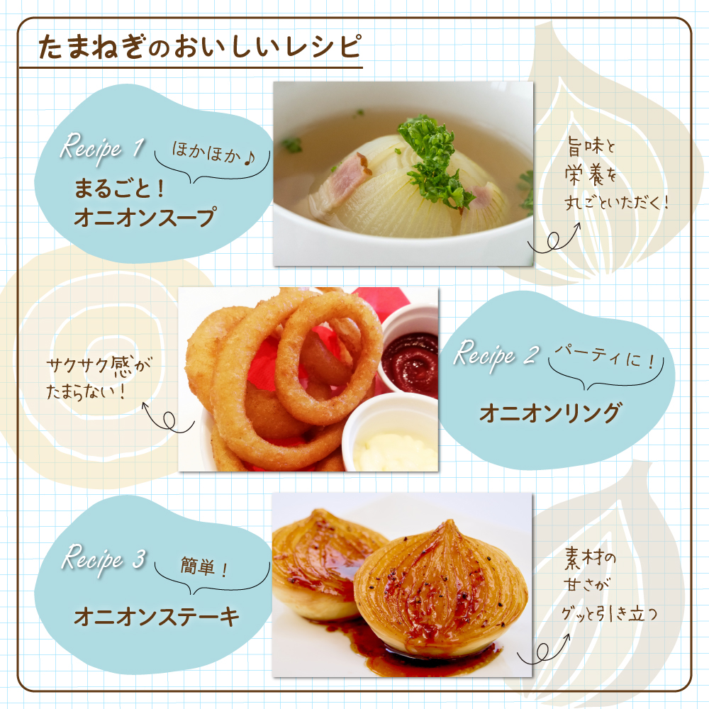 【2026年産先行受付】【10月上旬より発送】北海道十勝めむろ産　たまねぎ L大サイズ 20kg me010-011c-26