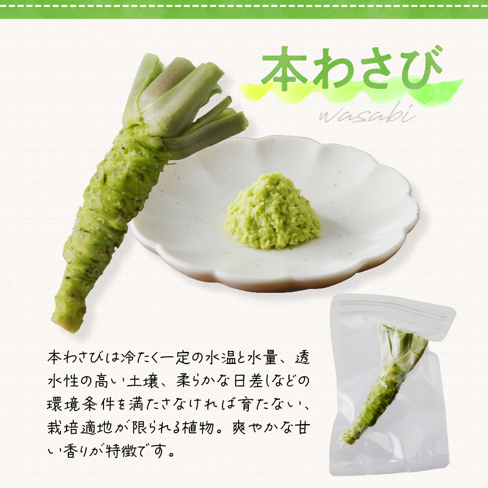 【先行受付】【2026年4月下旬より発送】北海道十勝芽室町 めむろ春一番旬の恵みセットＡ me011-002c