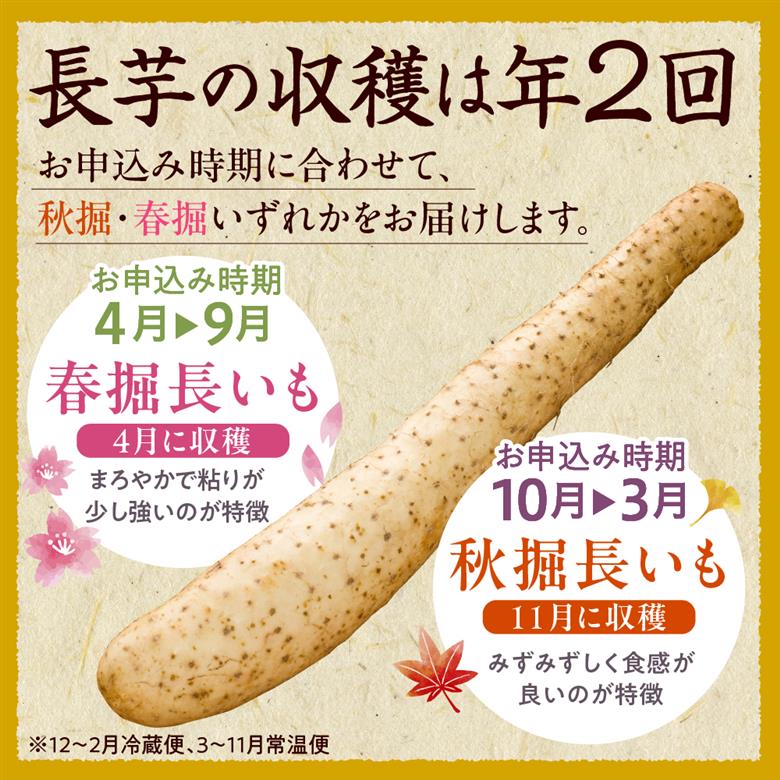 北海道十勝芽室町 ファーム・ミリオンの長芋【土付き】　10㎏ me016-013c