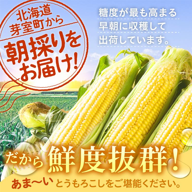 【先行受付】【2026年7月下旬～8月上旬頃配送】北海道十勝 芽室町産 朝獲れ とうもろこし ドルチェドリーム10本　me035-030c-26
／スイートコーン 朝獲れ もぎたて バイカラー 生 野菜 バーベキュー キャンプ飯 BBQ 甘み 旨み アフター保証