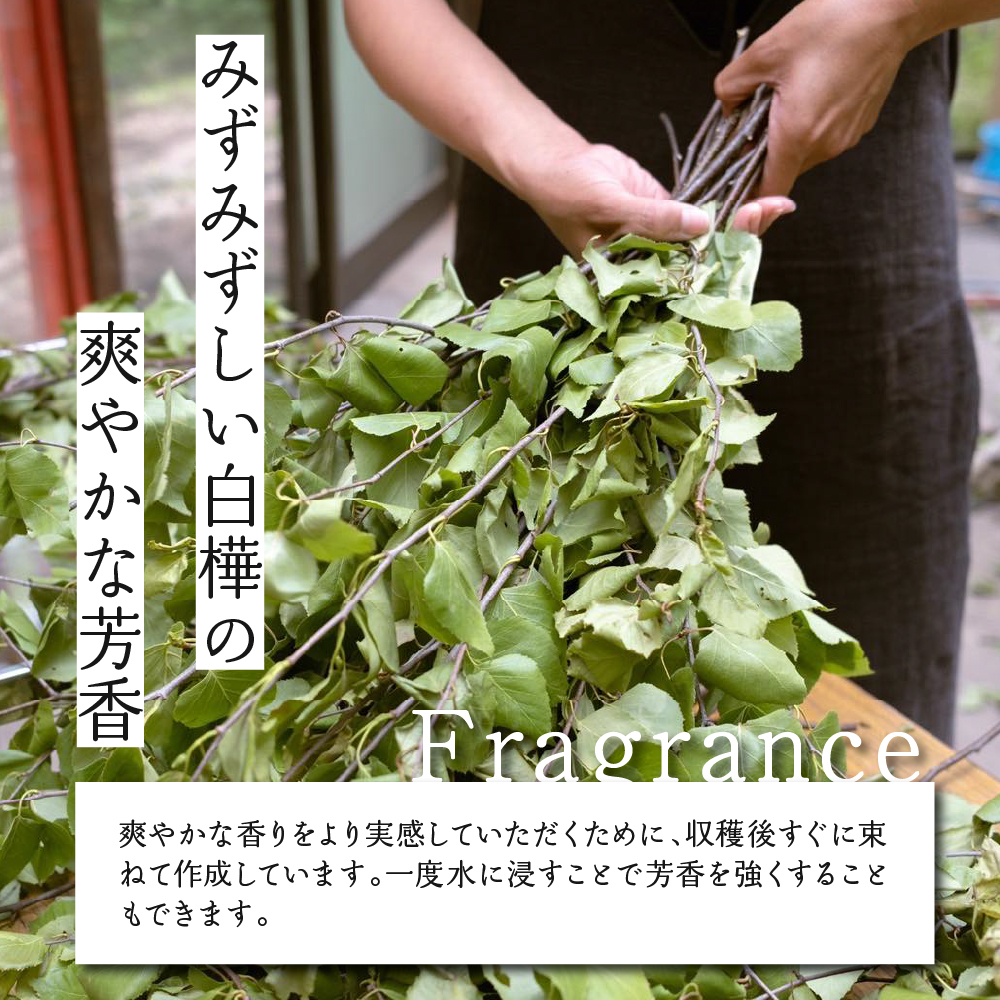 【先行受付】北海道芽室町産「白樺ヴィヒタ」2束　me055-002c-3