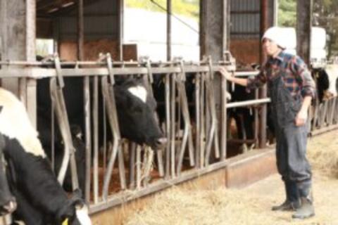 北海道十勝芽室町 めむろ散走（ガイド付サイクリングツアー）「モーモー散走」me054-002c