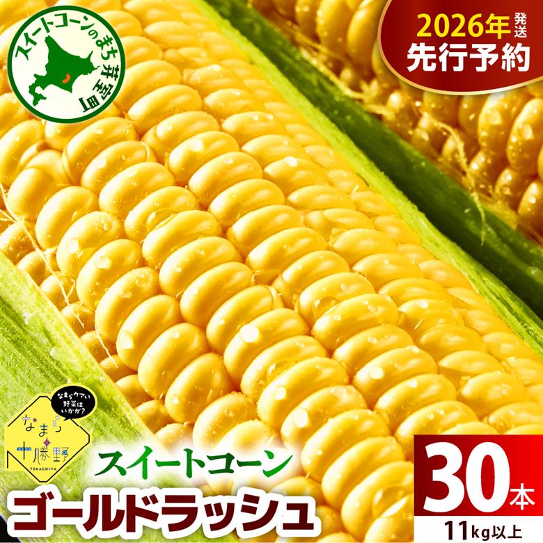 【先行受付】【2026年7月下旬～8月15日頃配送】北海道十勝芽室町 なまら十勝野のスイートコーン ゴールドラッシュ(30本) me001-011c-26 30本　19,500円