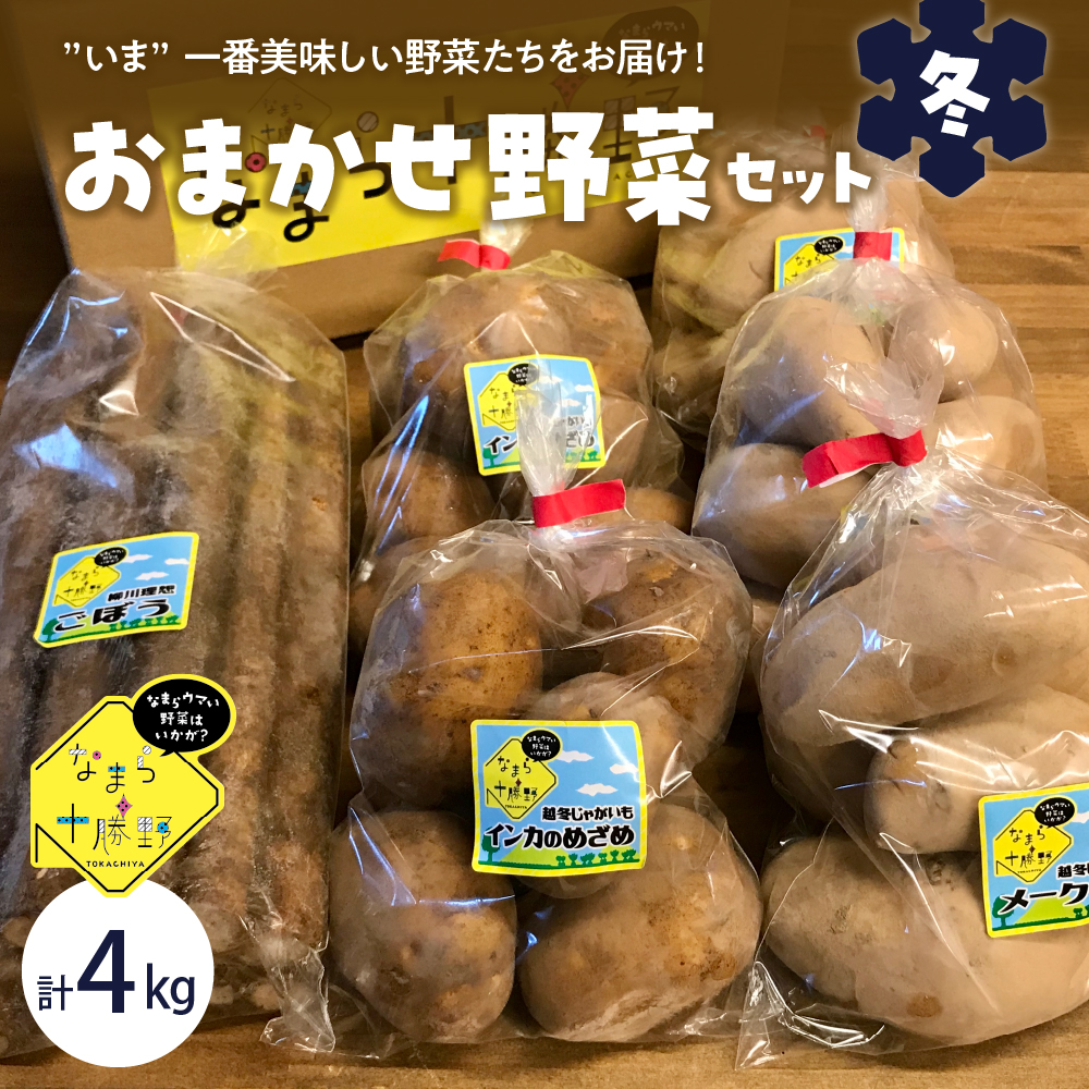 【先行受付】【2026年2月より順次発送】北海道十勝芽室町 なまら十勝野の季節のおまかせ野菜セット（冬） me001-015c