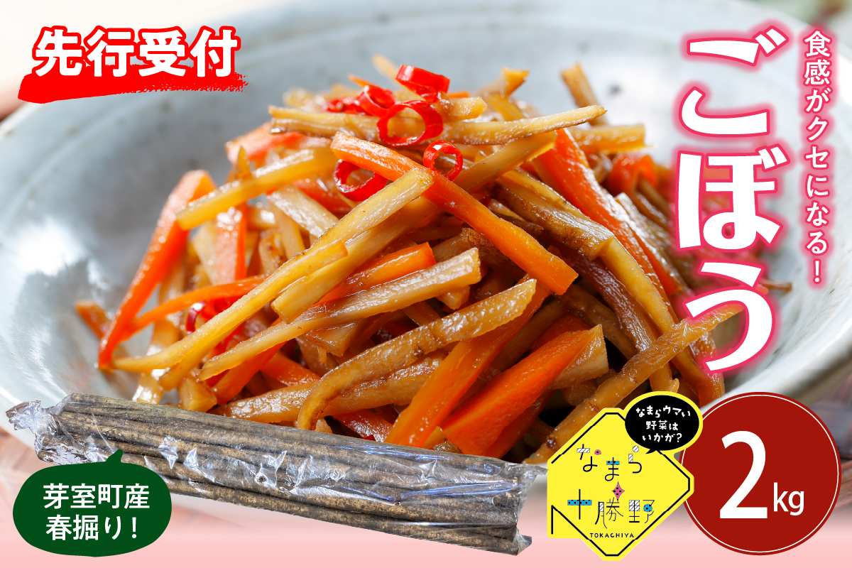 【先行受付】【2026年5月中旬より順次発送】北海道十勝芽室町 なまら十勝野 芽室町産 春掘りごぼう【柳川理想】M2kg me001-031c
