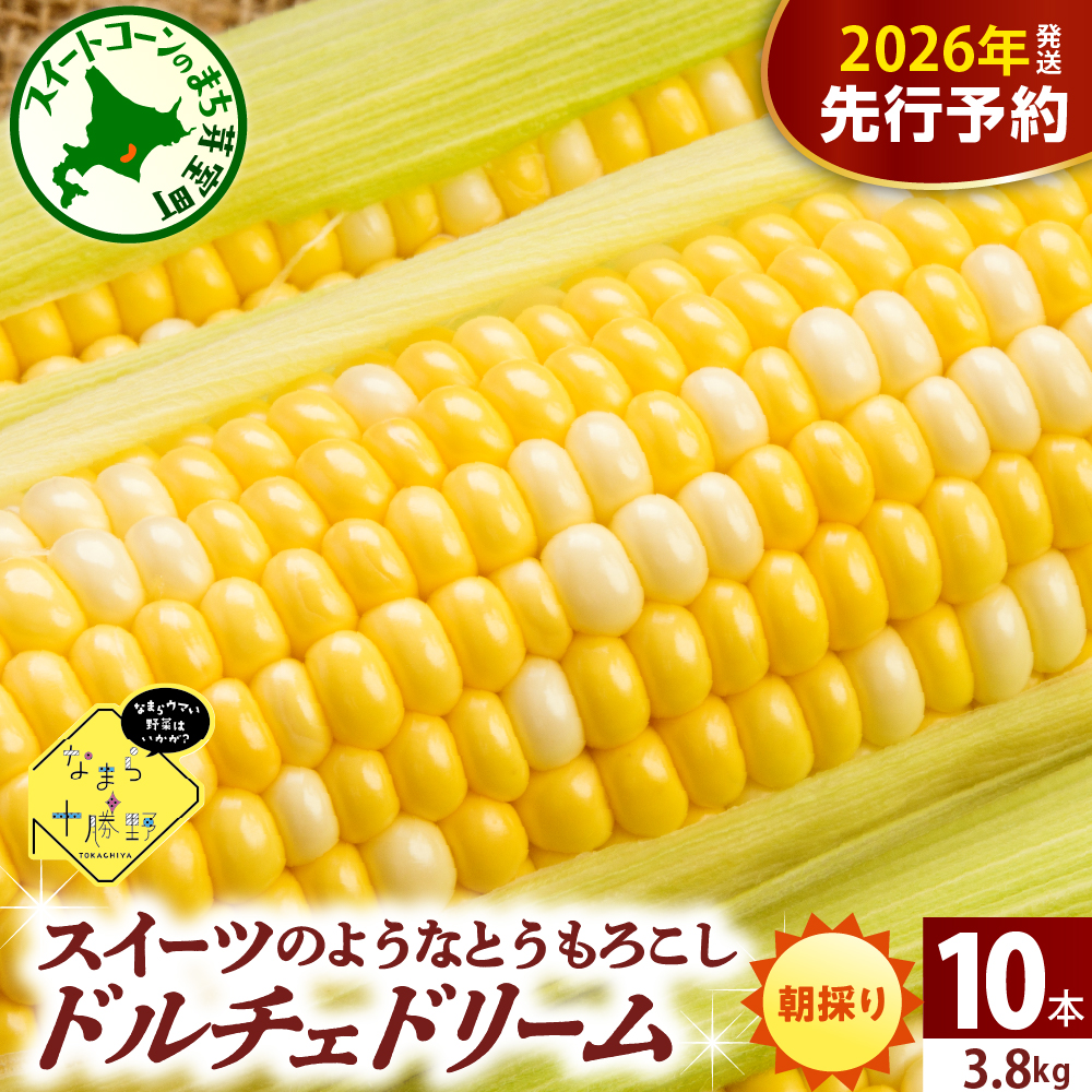 【先行受付】【2026年7月下旬～8月15日頃配送】北海道十勝芽室町 なまら十勝野　ドルチェドリーム(10本) 　me001-043c-26 10本