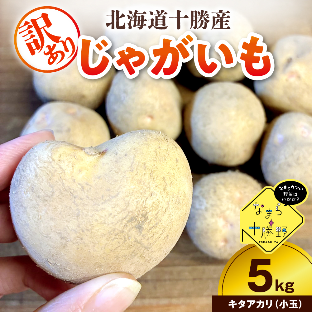 【10月上旬～1月下旬頃配送】【訳あり】北海道十勝芽室町 農家応援じゃがいも キタアカリ（小玉）5㎏　me001-050c-1