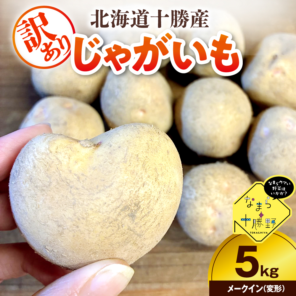 【10月上旬～1月下旬頃配送】【訳あり】北海道十勝芽室町 農家応援じゃがいも メークイン（変形）5㎏　me001-050c-2