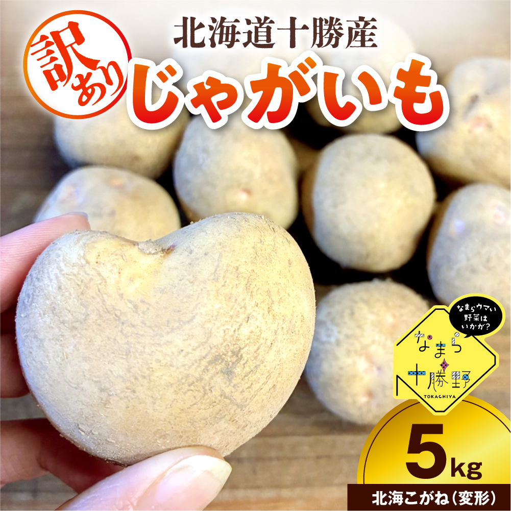 【10月上旬～1月下旬頃配送】【訳あり】北海道十勝芽室町 農家応援じゃがいも 北海こがね（変形）5㎏　me001-050c-3