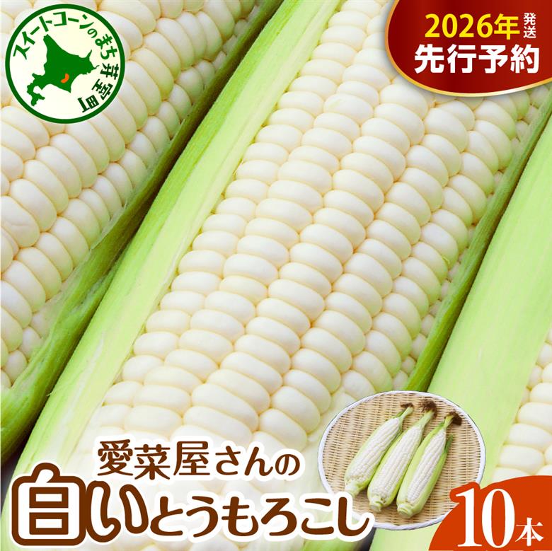 【先行受付】【2026年7月下旬～8月中旬頃配送】北海道十勝芽室町 とうもろこし 10本 ホワイト種 me002-005c-26