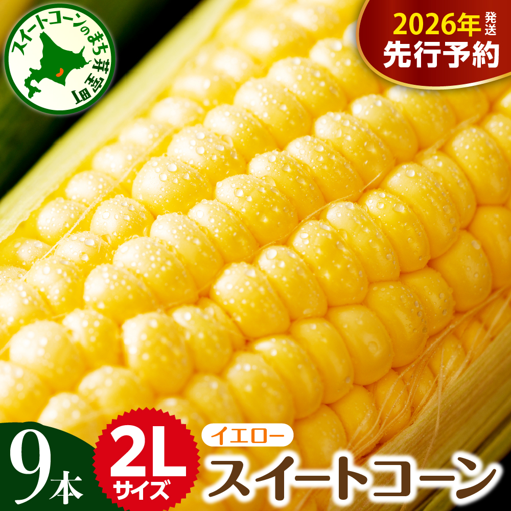【先行受付】【2026年7月下旬～8月中旬頃配送】北海道十勝芽室町 とうもろこし 2L 9本入り me002-021c-26