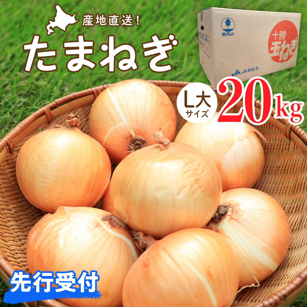 【2026年産先行受付】【10月上旬より発送】北海道十勝めむろ産　たまねぎ L大サイズ 20kg me010-011c-26