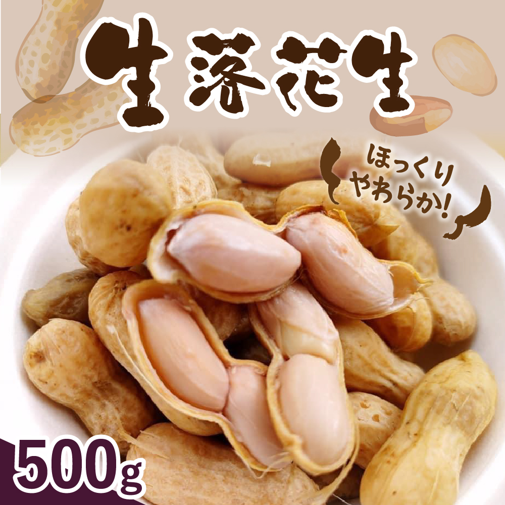 【先行予約】北海道十勝芽室町 生落花生（洗い）500g me010-016c