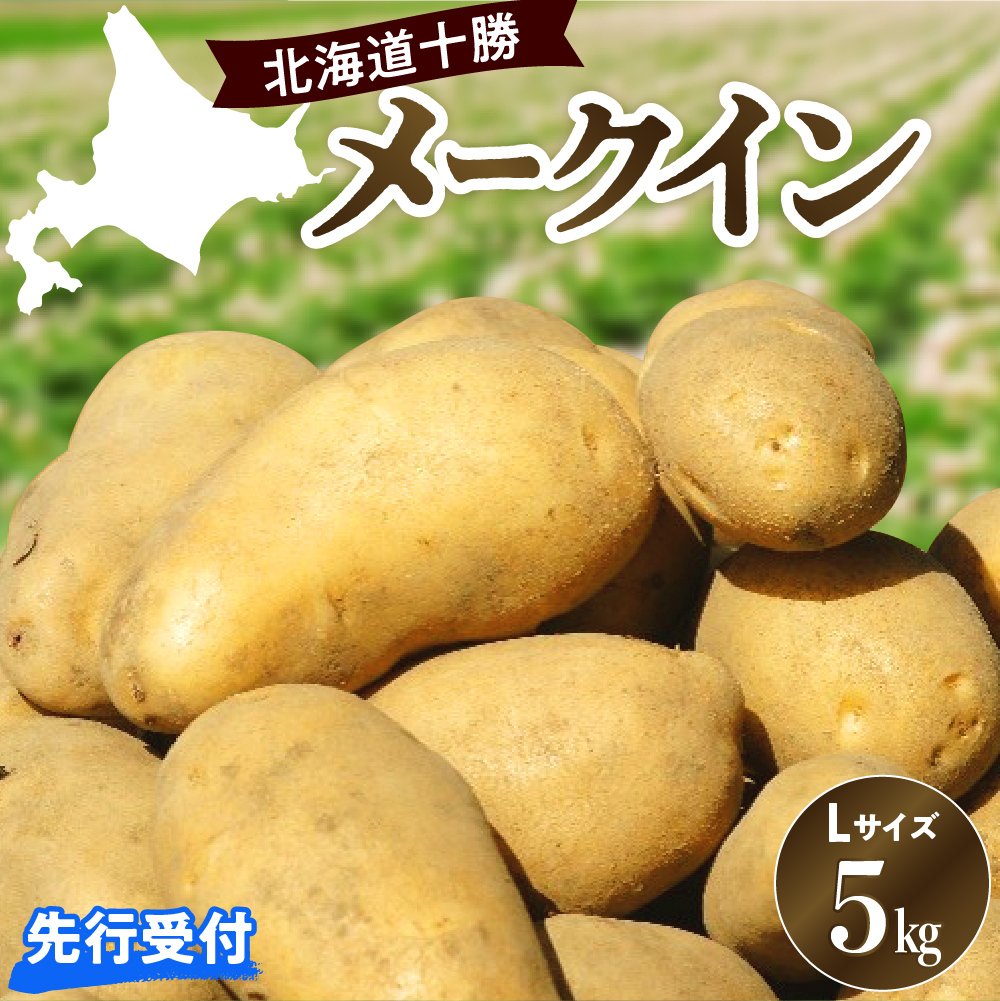 【先行受付】【2026年10月出荷分】北海道芽室町 十勝めむろ産「めむろメークイン」Ｌサイズ5kg me010-019c-26