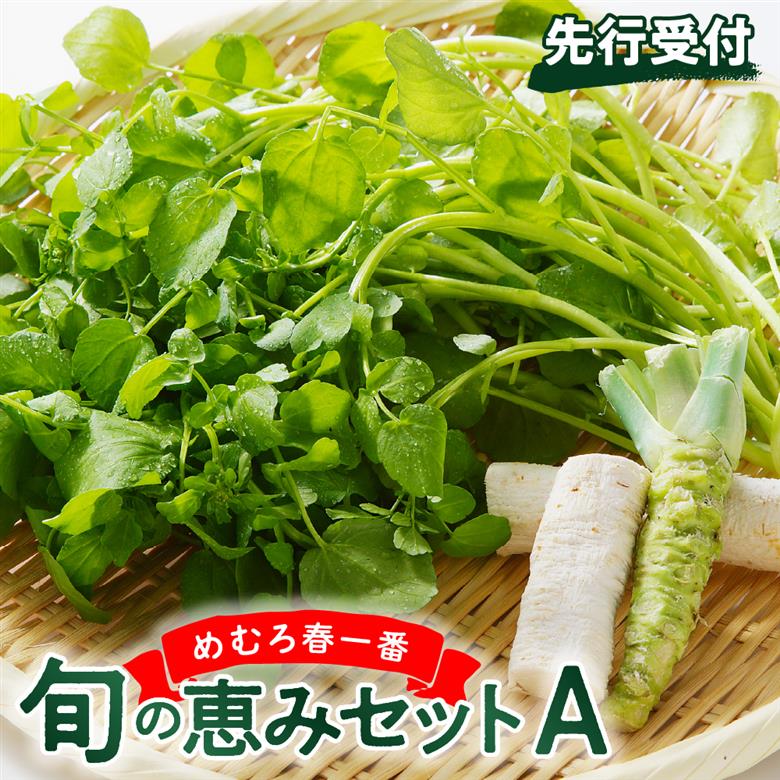 【先行受付】【2026年4月下旬より発送】北海道十勝芽室町 めむろ春一番旬の恵みセットＡ me011-002c