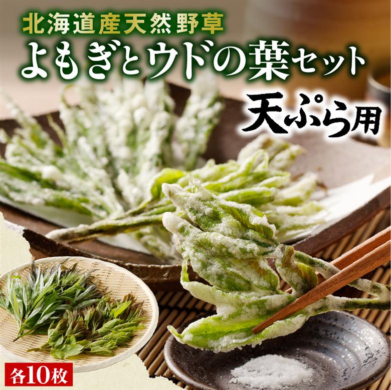 【先行受付】【2026年5月発送】北海道十勝芽室町 天ぷら用 ヨモギとウドの葉セット me011-006c