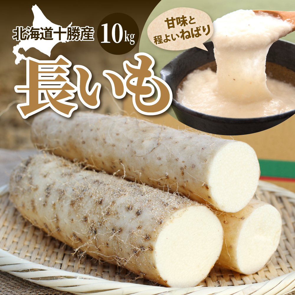 北海道十勝芽室町 ファーム・ミリオンの長芋【土付き】　10㎏ me016-013c