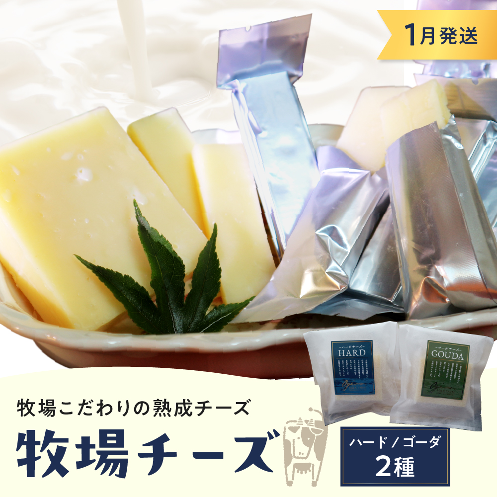 1月発送 北海道十勝芽室町 牧場チーズ２種類セット me020-005c-1 1月