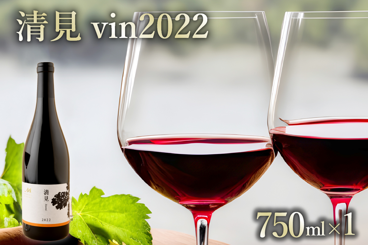 北海道十勝芽室町 赤ワイン：清見 vin2021　750ml×1本(箱入) me032-044c