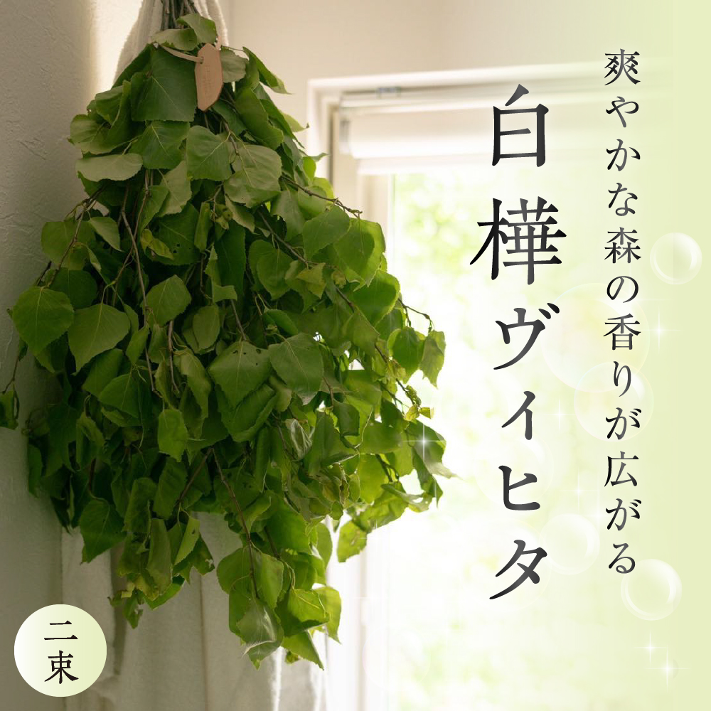 【先行受付】北海道芽室町産「白樺ヴィヒタ」2束　me055-002c-3