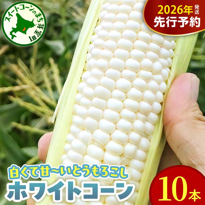 【先行受付】【2026年8月10日～8月下旬配送】北海道 十勝芽室町 とうもろこし ホワイトコーン 10本セット me078-004c-26