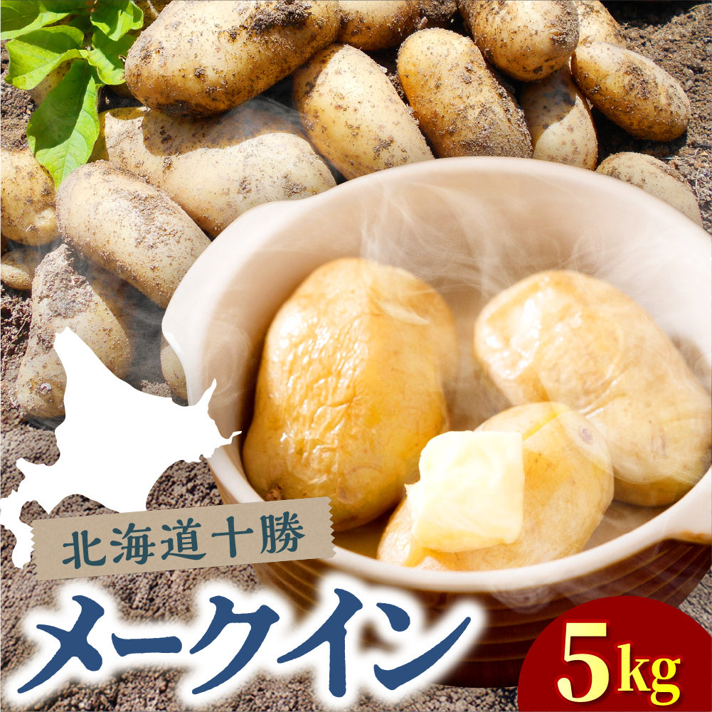 【先行受付】【2026年10月下旬より順次出荷】北海道 十勝芽室町 メークイン Mサイズ5kg  me078-008c-26