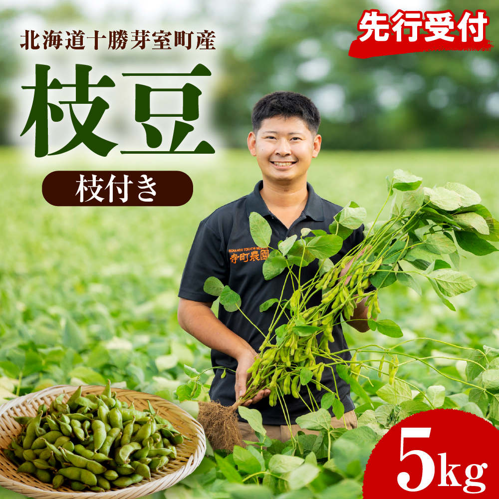 【2026年8月より発送】産地直送！北海道十勝芽室町 枝付き枝豆 5kg me081-001c