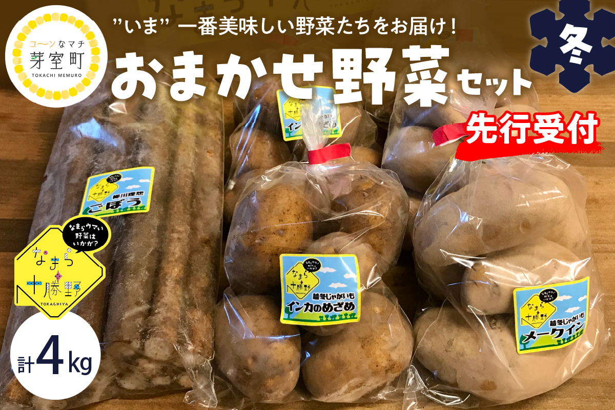 北海道十勝芽室町 なまら十勝野の季節のおまかせ野菜セット(冬) me001-015c