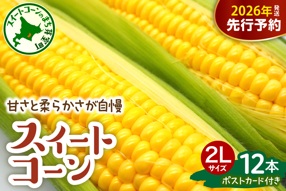[先行受付][2026年7月下旬〜8月下旬頃配送]北海道十勝芽室町 上美生のたからばこ とうもろこしゴールドラッシュ 2Lサイズ以上12本ポストカード セット me029-001c-26