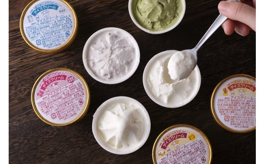 十勝産生乳の旨み！ジェラートアイスクリーム　７種１４個セット[C1-9C]