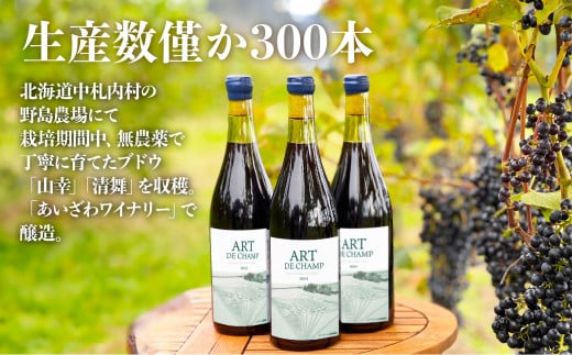 《70本数量限定》札内川ダム 熟成 赤ワイン 中札内村産 ぶどう アート・ド・シャンプ 【2026年6月上旬発送】 ワイン 赤 お酒 おさけ 酒 ギフト [006-0109]