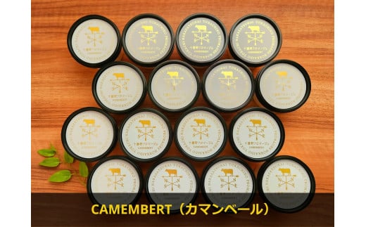 十勝産生乳の旨み！ジェラートアイスクリーム 16個セット CAMEMBERT（カマンベール）[C1-17]