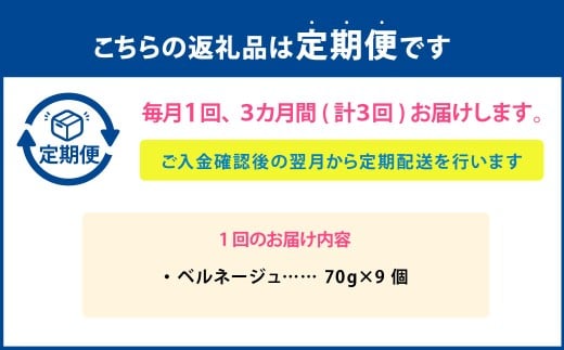 【3ヶ月定期便】 ベルネージュ 70g×9個セット 定期便3回 計27個 チーズ 白カビチーズ 生クリーム入り 白カビ 生乳 濃厚 おつまみ お酒のお供 おやつ 料理 乳製品 加工食品 [027-0117]