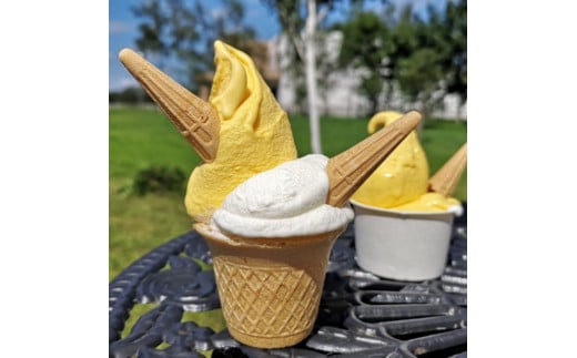 十勝産生乳の旨み！ジェラートアイスクリーム　７種１４個セット[C1-9C]