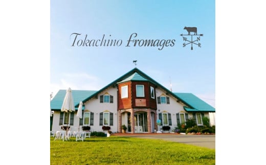 十勝産生乳の旨み！ジェラートアイスクリーム 16個セット TOKACHINO MILK（ミルク）・ CAMEMBERT（カマンベール）[C1-18B]