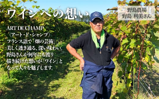 《70本数量限定》札内川ダム 熟成 赤ワイン 中札内村産 ぶどう アート・ド・シャンプ 【2026年6月上旬発送】 ワイン 赤 お酒 おさけ 酒 ギフト [006-0109]